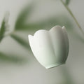 9ec768ac1ce68ed8bf12925252e46d19